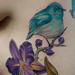 Tattoos - Blue bird with purple orchids - 66375